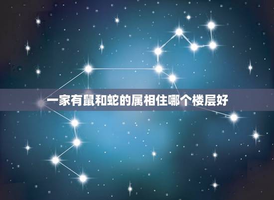一家有鼠和蛇的属相住哪个楼层好，属蛇天蝎座宜住楼层