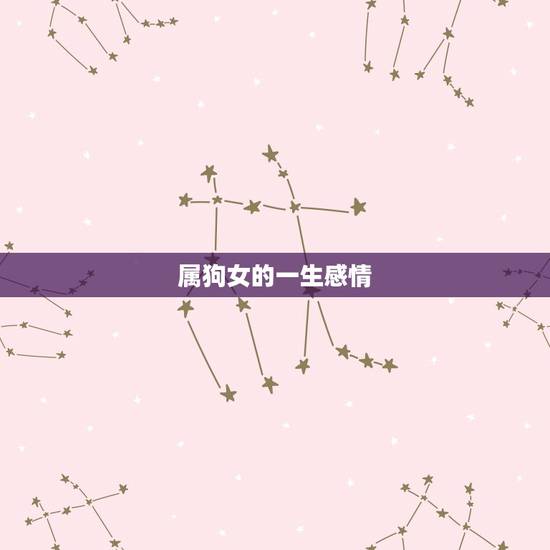 属狗女的一生感情,属狗人2022 年每月运势 属狗女的一生感情,属狗人2022 年每月运势