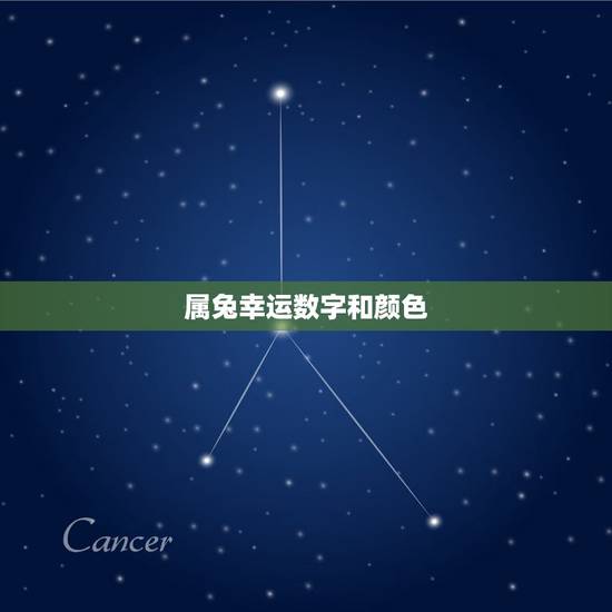 属兔幸运数字和颜色,属兔双子座一生最幸运的数字和颜色是什么 属兔幸运数字和颜色,属兔双子座一生最幸运的数字和颜色是什么