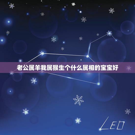 老公属羊我属猴生个什么属相的宝宝好，丈夫属羊妻子属猴适合生个什么属相的