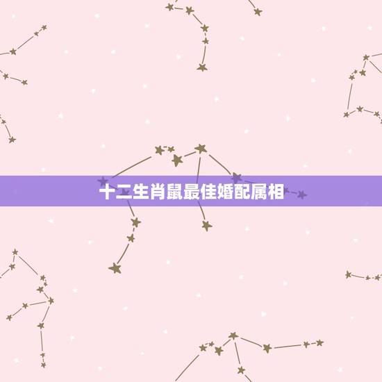 十二生肖鼠最佳婚配属相,属狗与什么属相相克 十二生肖鼠最佳婚配属相,属狗与什么属相相克