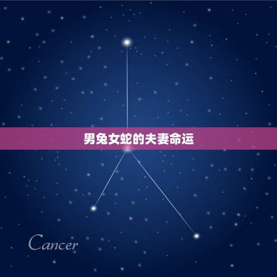 男兔女蛇的夫妻命运,夫妻之间相克的几种现象 男兔女蛇的夫妻命运,夫妻之间相克的几种现象