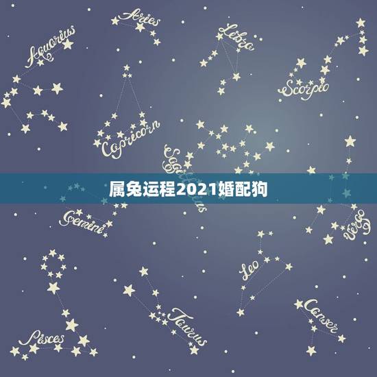 属兔运程2021婚配狗,属狗的和什么属相最配 属兔兔属属相婚配表 属兔运程2021婚配狗,属狗的和什么属相最配 属兔兔属属相婚配表