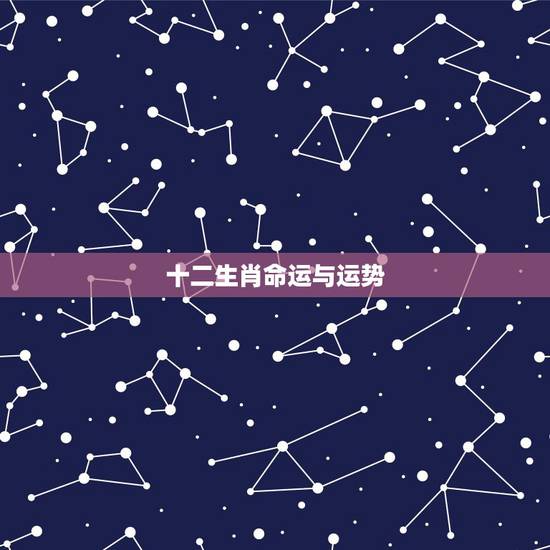 十二生肖命运与运势,十二生肖一五年运气 十二生肖命运与运势,十二生肖一五年运气