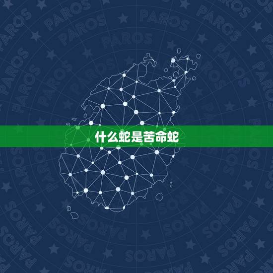 什么蛇是苦命蛇 属蛇人最苦命出生月份 什么蛇是苦命蛇 属蛇人最苦命出生月份