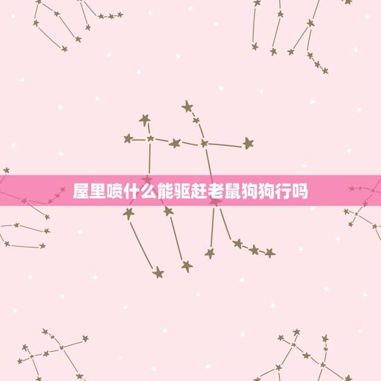 屋里喷什么能驱赶老鼠狗狗行吗,怎么训练狗狗抓老鼠 屋里喷什么能驱赶老鼠狗狗行吗,怎么训练狗狗抓老鼠