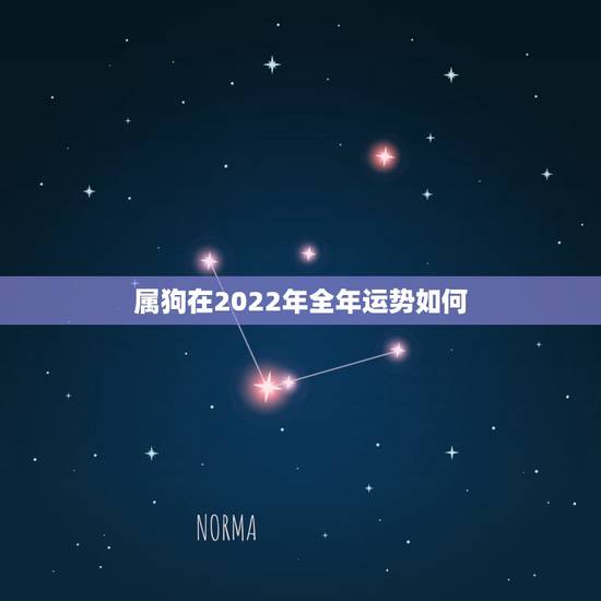 属狗在2022年全年运势如何,2022 年全年运势详解 属狗在2022年全年运势如何,2022 年全年运势详解