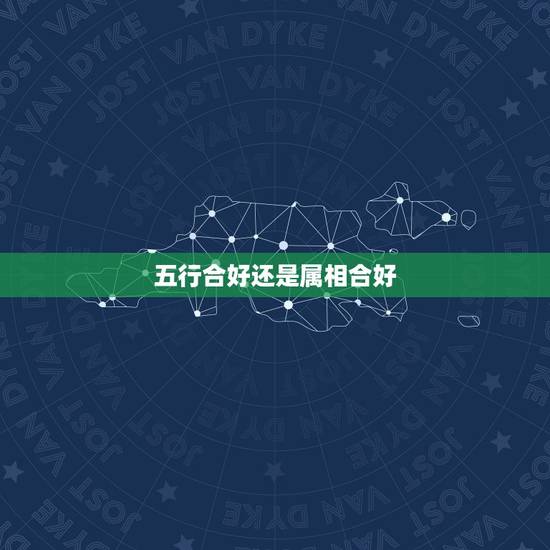 五行合好还是属相合好，五行相生，生肖相克！