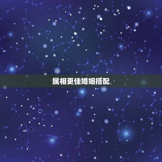 属相更佳婚姻搭配，12生肖婚姻更佳配对