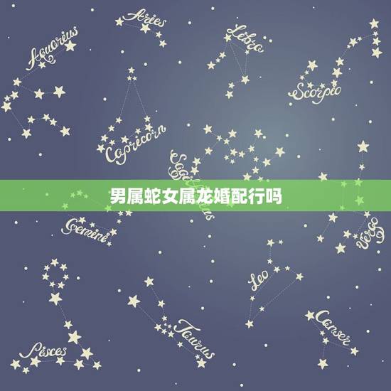 男属蛇女属龙婚配行吗,男属蛇女属龙婚配好吗配比分数是多少? 男属蛇女属龙婚配行吗,男属蛇女属龙婚配好吗配比分数是多少?