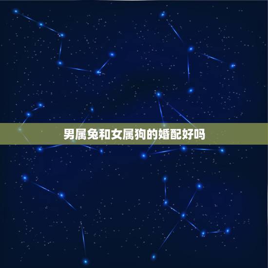 男属兔和女属狗的婚配好吗,1982年出生属狗男与1987年出生属兔女相 男属兔和女属狗的婚配好吗,1982年出生属狗男与1987年出生属兔女相