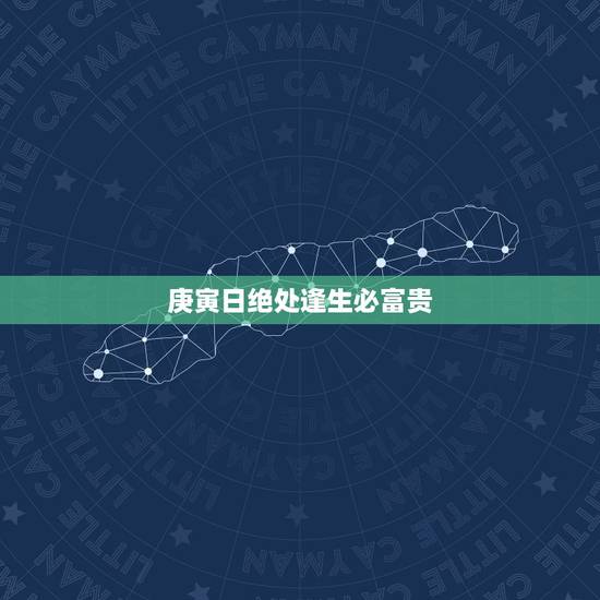 庚寅日绝处逢生必富贵，算命请高手！谢谢！ 有分