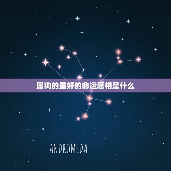 属狗的最好的命运属相是什么,属狗的和什么属相最配 属狗的最好的命运属相是什么,属狗的和什么属相最配