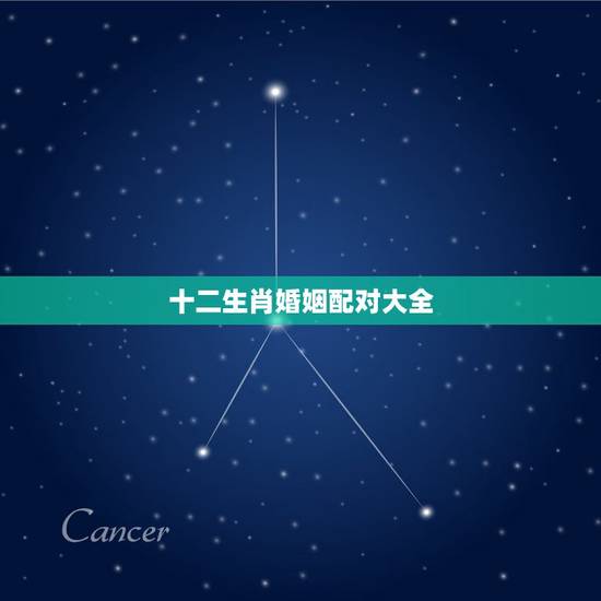 十二生肖婚姻配对大全，十二生肖属相婚姻匹配