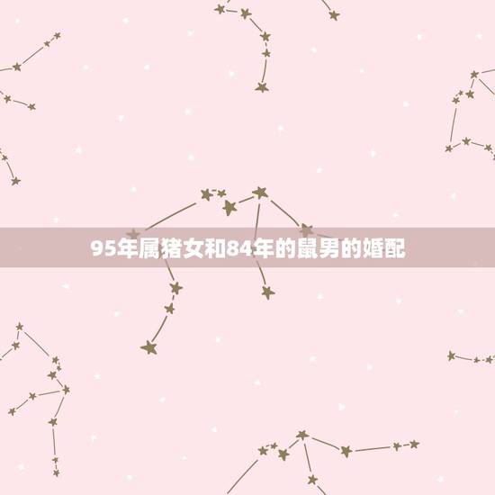 95年属猪女和84年的鼠男的婚配,1996年女的属老鼠和1995年男的 95年属猪女和84年的鼠男的婚配,1996年女的属老鼠和1995年男的
