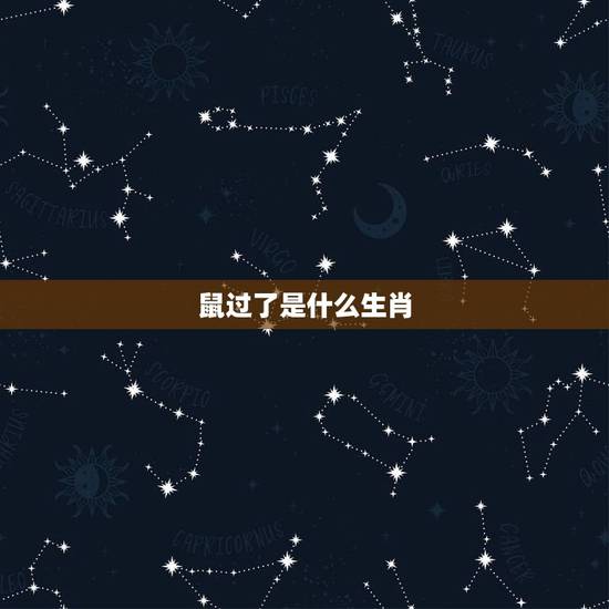 鼠过了是什么生肖，牛过了是什么生肖