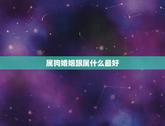 属狗婚姻跟属什么最好