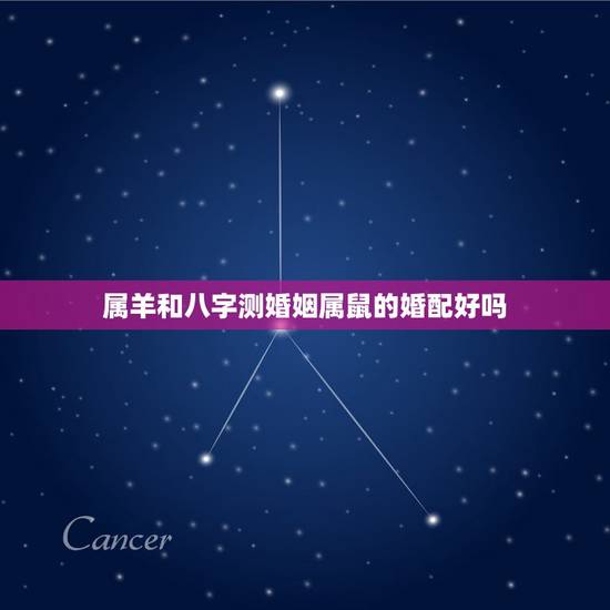 属羊和八字测婚姻属鼠的婚配好吗，属鼠和属羊能配婚姻吗