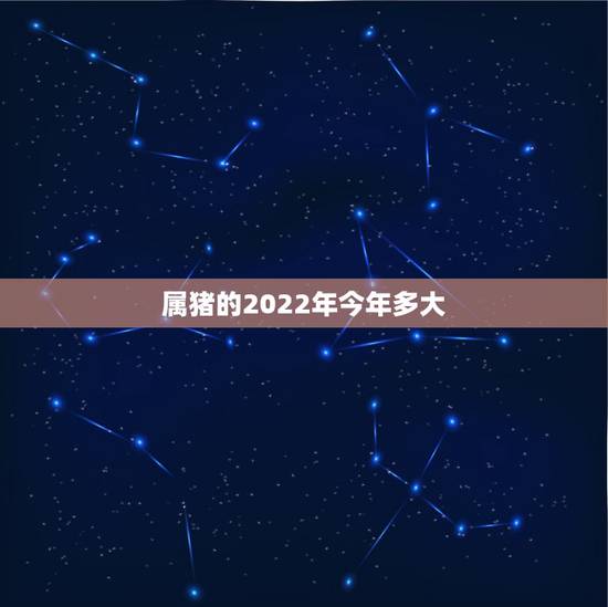 属猪的2022年今年多大，2022年生肖猪