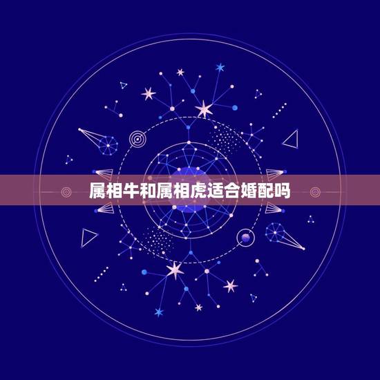 属相牛和属相虎适合婚配吗,牛跟虎属相婚配如何 属相牛和属相虎适合婚配吗,牛跟虎属相婚配如何