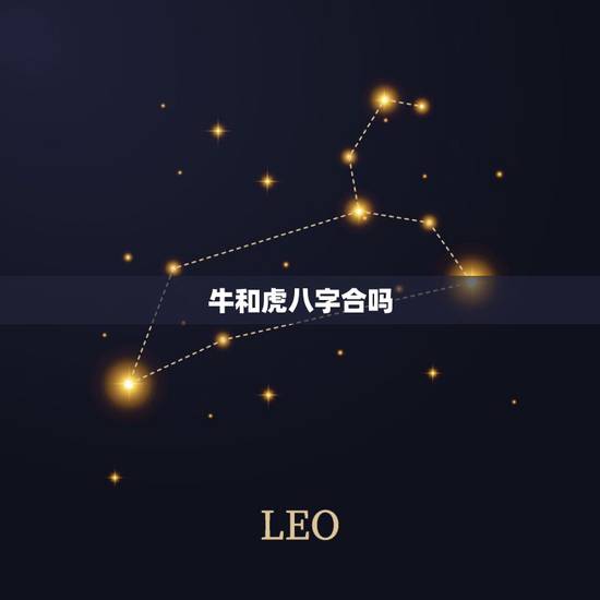 牛和虎八字合吗，牛和虎属相合吗