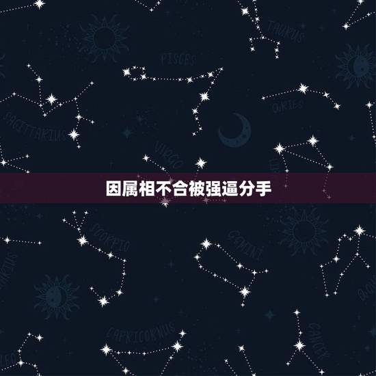 因属相不合被强逼分手，有多少因为生肖配对不合被逼分手的