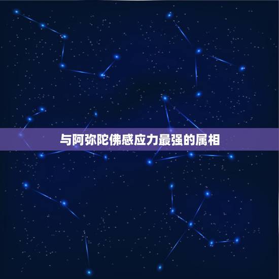 与阿弥陀佛感应力最强的属相，1983年属猪的受什麼护佑