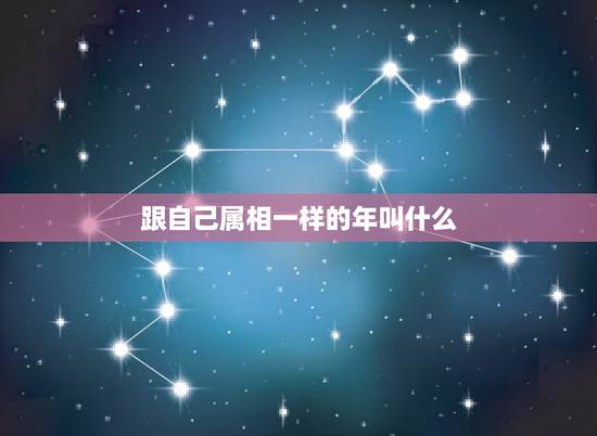跟自己属相一样的年叫什么,一模一样。是什么生肖 跟自己属相一样的年叫什么,一模一样。是什么生肖