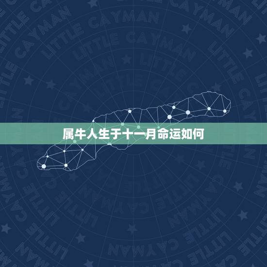属牛人生于十一月命运如何,属牛的11月出生的命运 属牛人生于十一月命运如何,属牛的11月出生的命运