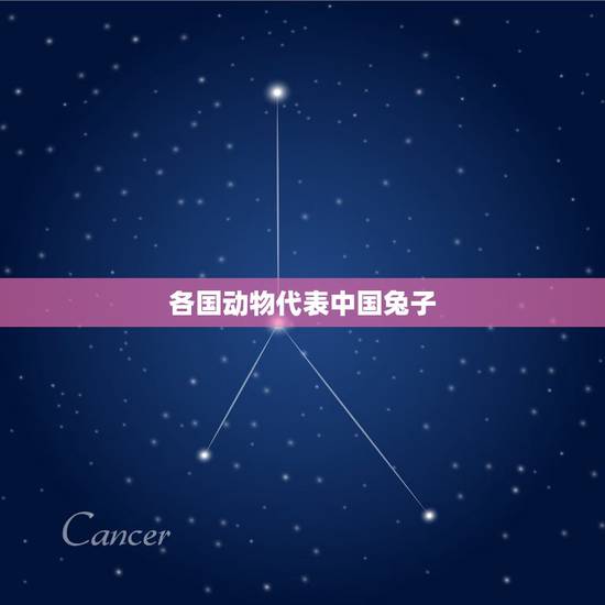 各国动物代表中国兔子，各国代号兔子