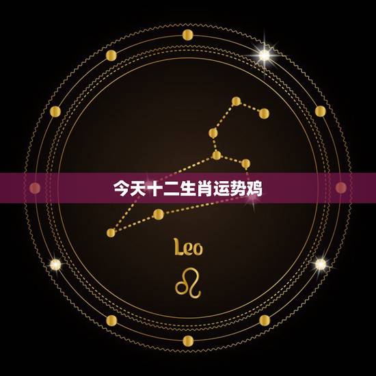 今天十二生肖运势鸡，十二生肖爱情运势的生肖鸡