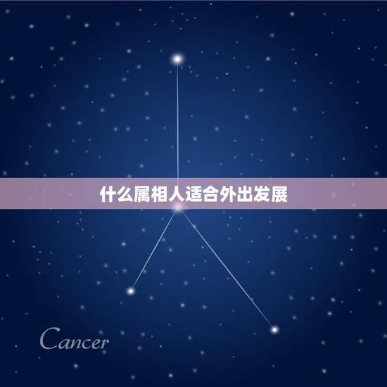 什么属相人适合外出发展,生肖猪 最适合什么职业 发展前景无限 什么属相人适合外出发展,生肖猪 最适合什么职业 发展前景无限