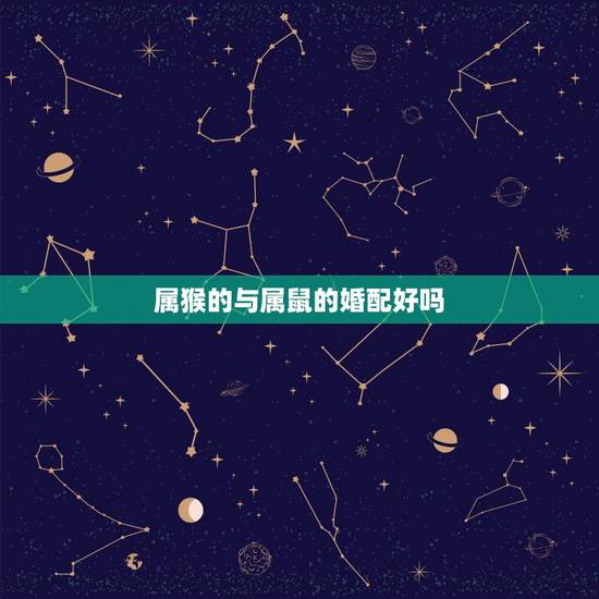 属猴的与属鼠的婚配好吗，属猴和属鼠的配吗