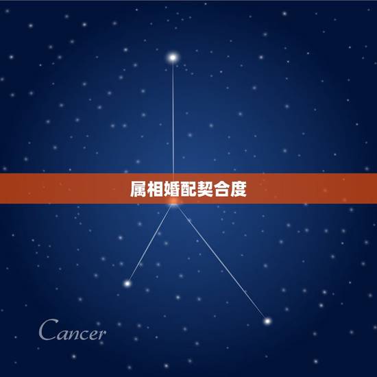 属相婚配契合度，生肖属龙跟属鼠相配吗？