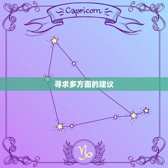 寻求多方面的建议 寻求多方面的建议