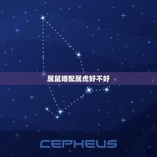 属鼠婚配属虎好不好,属鼠和属虎相冲吗 属鼠婚配属虎好不好,属鼠和属虎相冲吗