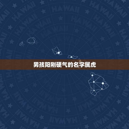 男孩阳刚硬气的名字属虎 高雅霸气男孩名字 男孩阳刚硬气的名字属虎 高雅霸气男孩名字