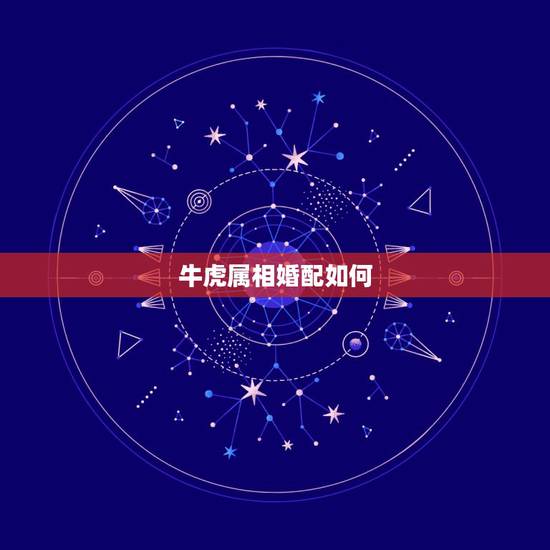 牛虎属相婚配如何，牛和虎的婚配怎么样