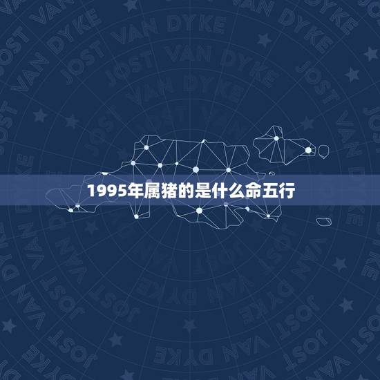 1995年属猪的是什么命五行，1995年属猪的人是什么命