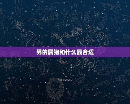 男的属猪和什么最合适,女属猪的和什么属相最配 男的属猪和什么最合适,女属猪的和什么属相最配