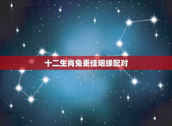 十二生肖兔更佳姻缘配对,十二生肖相克相冲口诀 十二生肖兔更佳姻缘配对,十二生肖相克相冲口诀