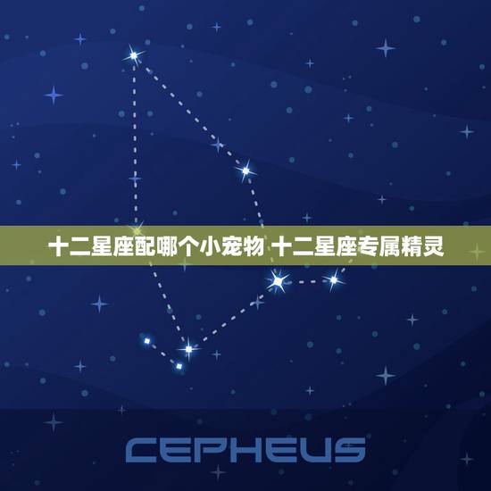 十二星座配哪个小宠物 十二星座专属精灵