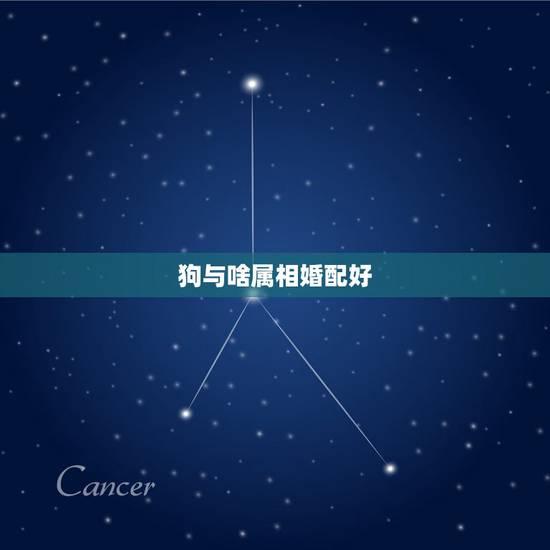 狗与啥属相婚配好，属相婚配表：属狗的和什么属相最相配