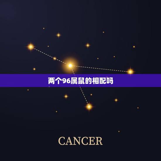 两个96属鼠的相配吗，96鼠和95猪属相合不合