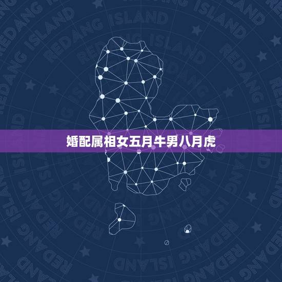 婚配属相女五月牛男八月虎,属牛女五月和属牛男八月配吗 婚配属相女五月牛男八月虎,属牛女五月和属牛男八月配吗