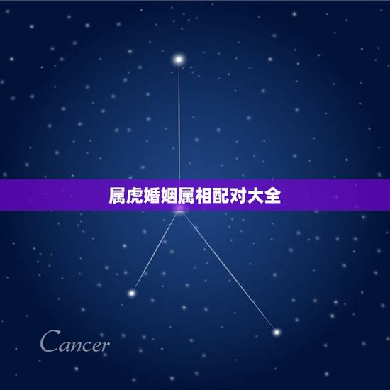 属虎婚姻属相配对大全,1998年属虎的更佳配偶 属虎婚姻属相配对大全,1998年属虎的更佳配偶