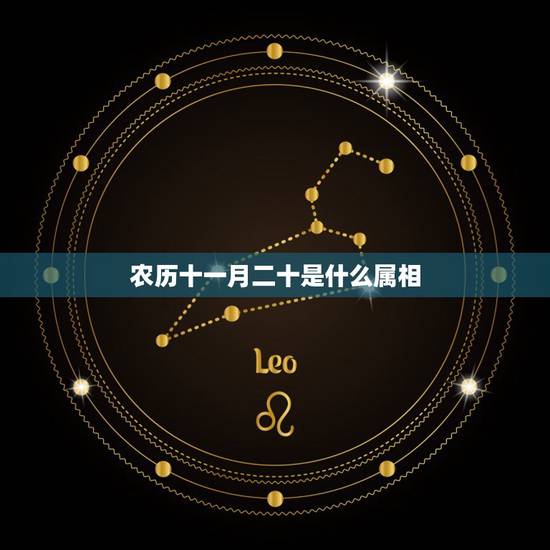 农历十一月二十是什么属相,一年十二个月各是什么生肖月? 农历十一月二十是什么属相,一年十二个月各是什么生肖月?