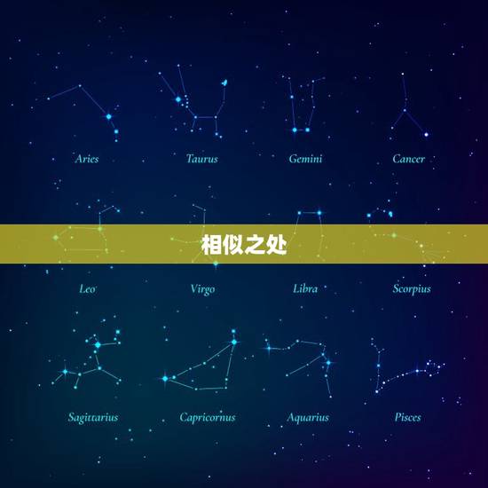 相似之处 相似之处