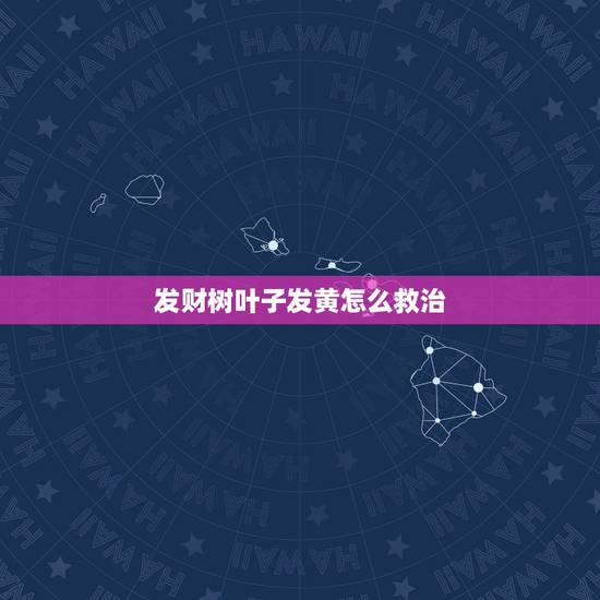 发财树叶子发黄怎么救治,水养的发财树叶子发黄了怎么办 发财树叶子发黄怎么救治,水养的发财树叶子发黄了怎么办