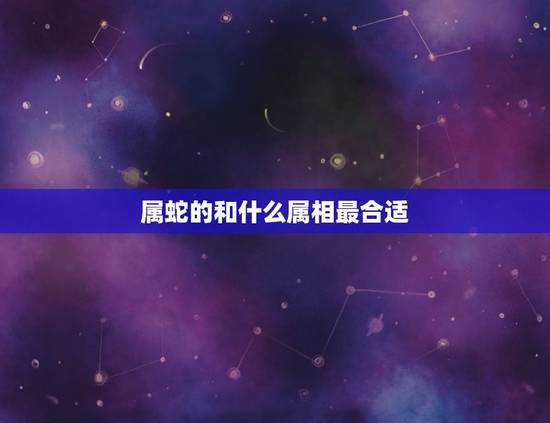 属蛇的和什么属相最合适，女孩属蛇更佳婚配属相